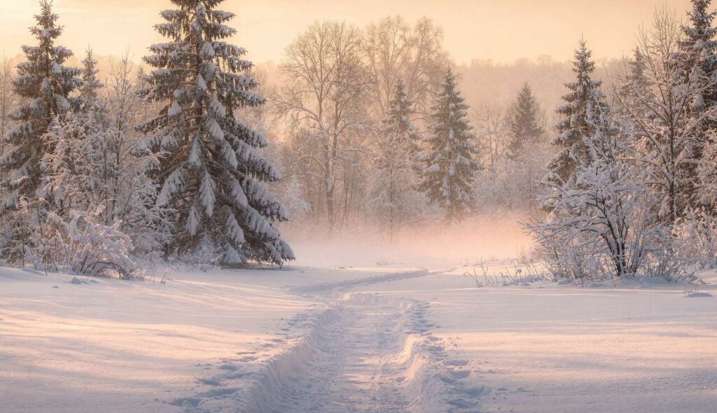 Die psychologischen Effekte von Schnee gehen weit über Nostalgie hinaus